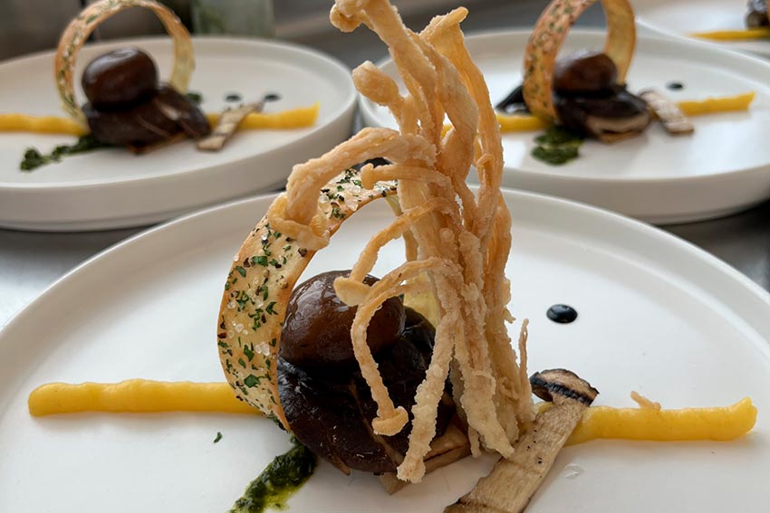 Circle Mushroom Amuse Bouche